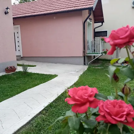 Apartment Tajna Vrdnik